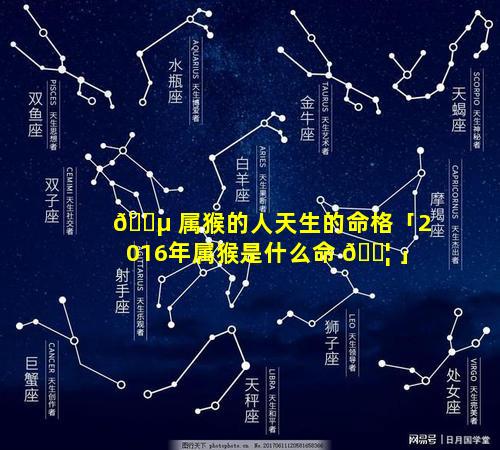 🐵 属猴的人天生的命格「2016年属猴是什么命 🐦 」
